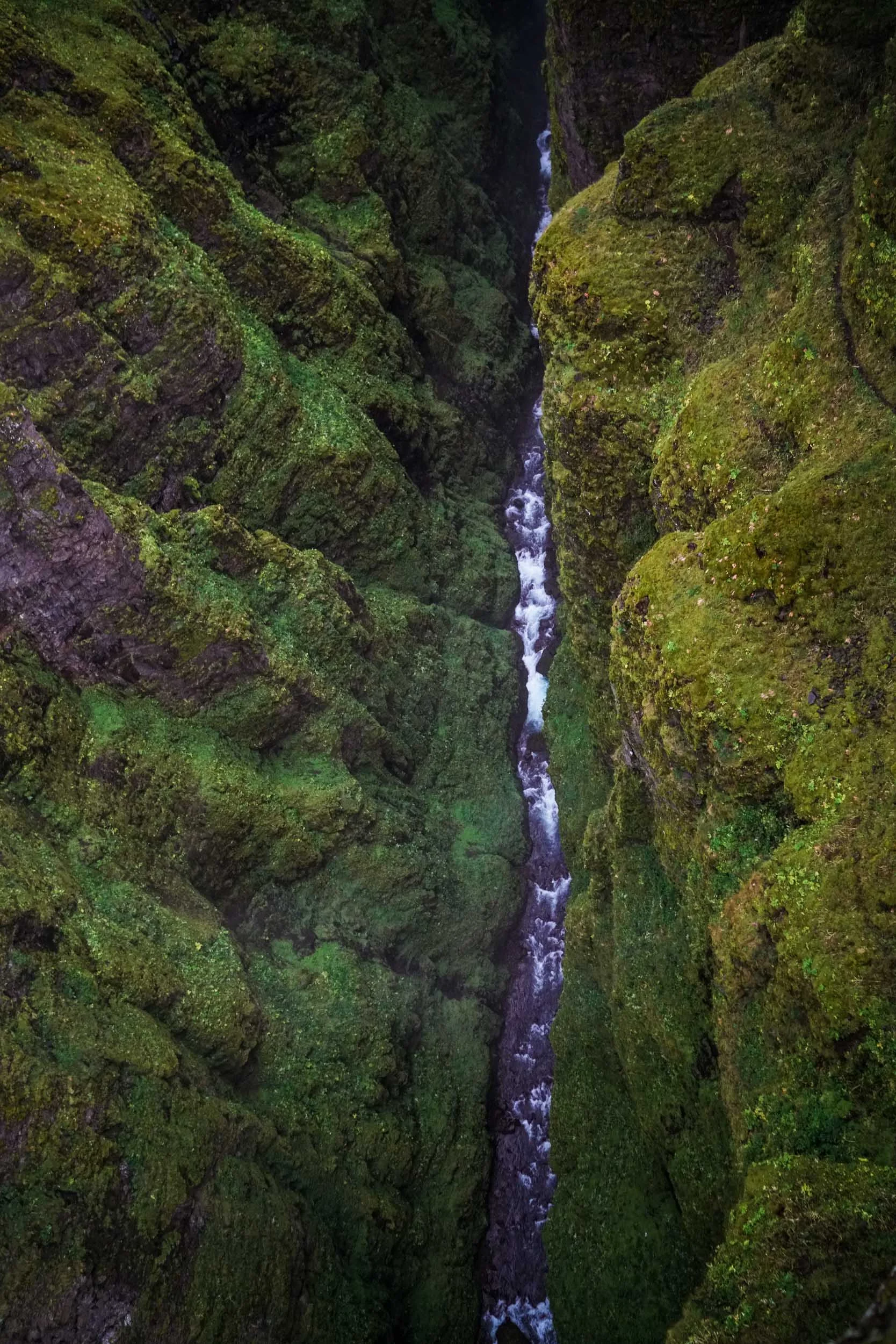iceland_web-237.jpg