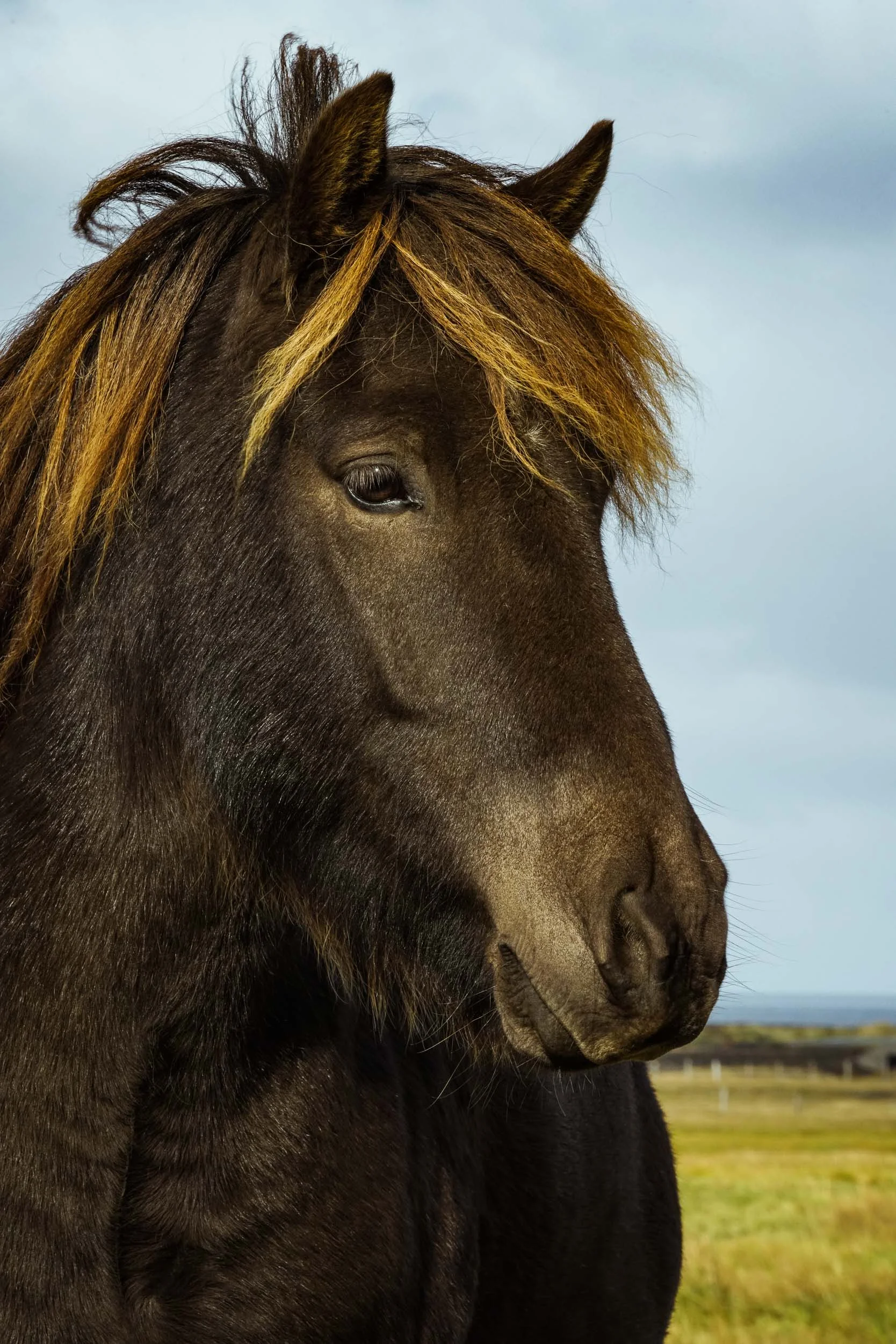 iceland_web-261.jpg