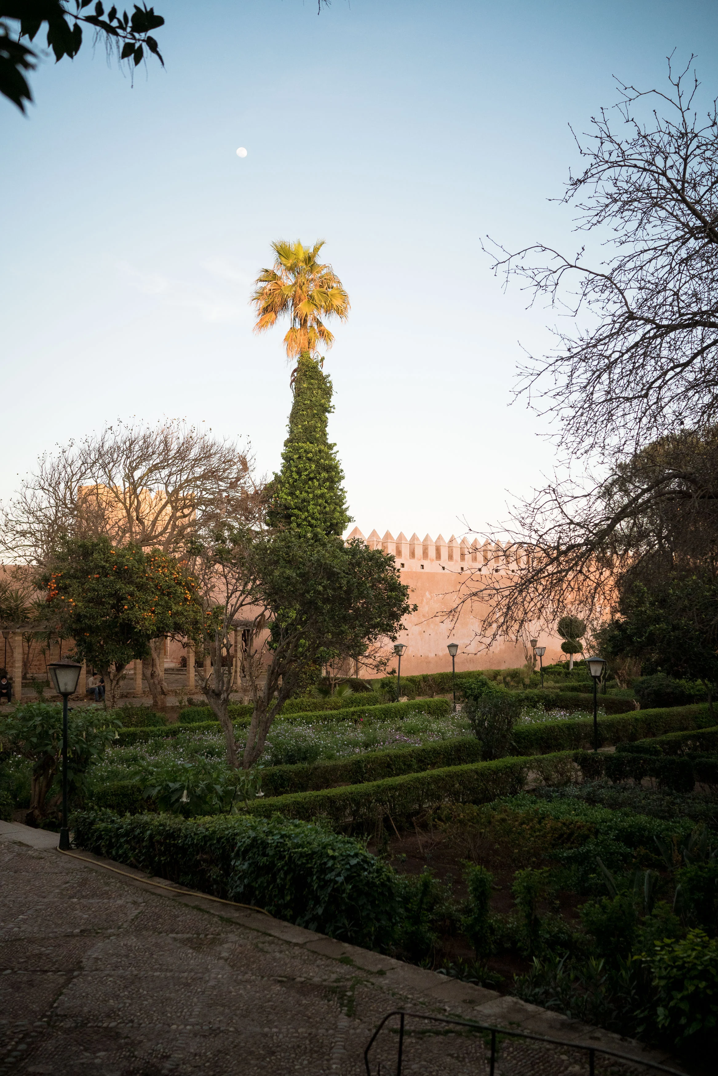 Morocco-9.jpg
