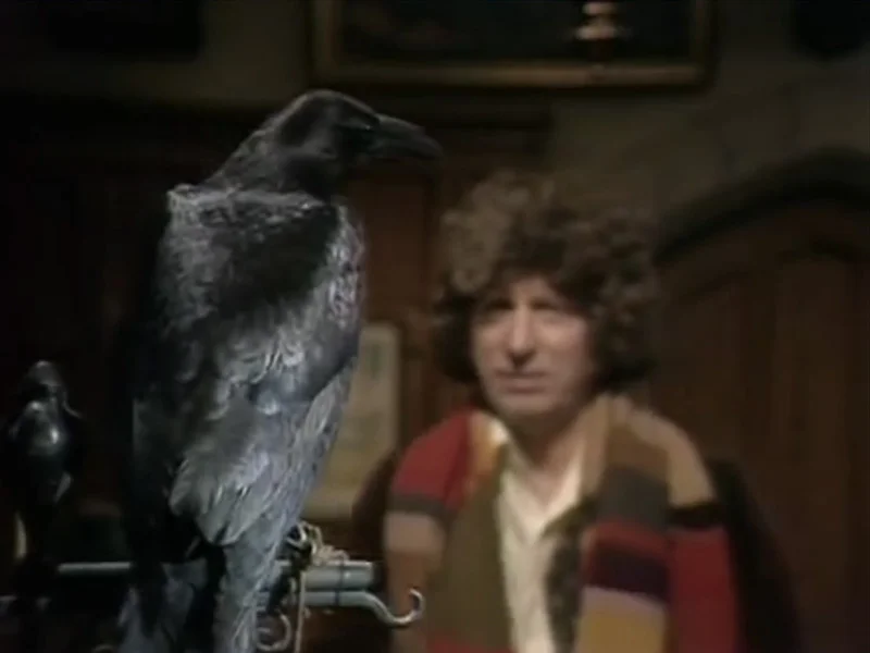 The-Doctor-and-crow.jpg