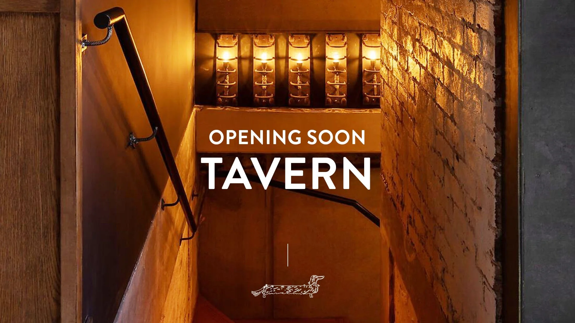 Brand Design Lead | Hospitality