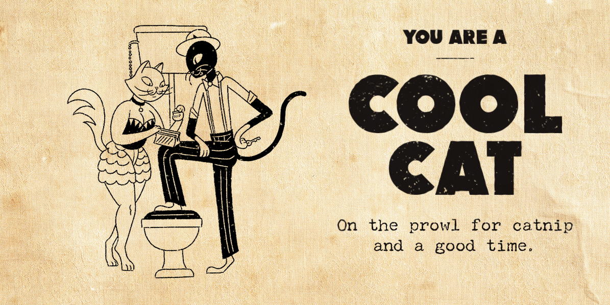CoolCat.png