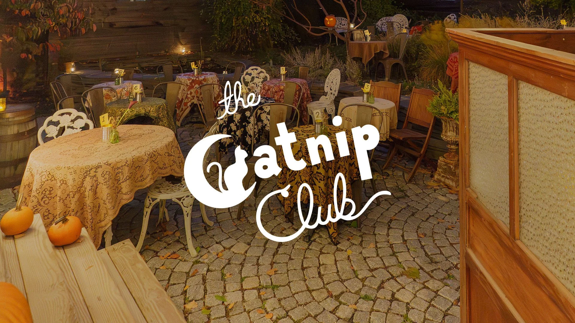 Experiential Event Creator | The Catnip Club 