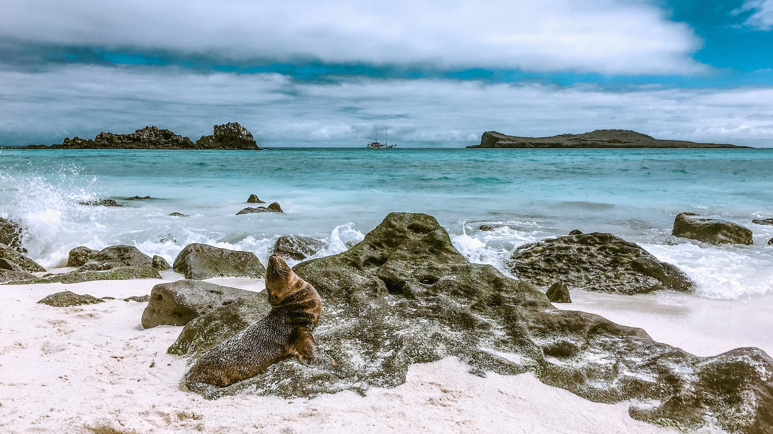 Mermaid of the Galapagos