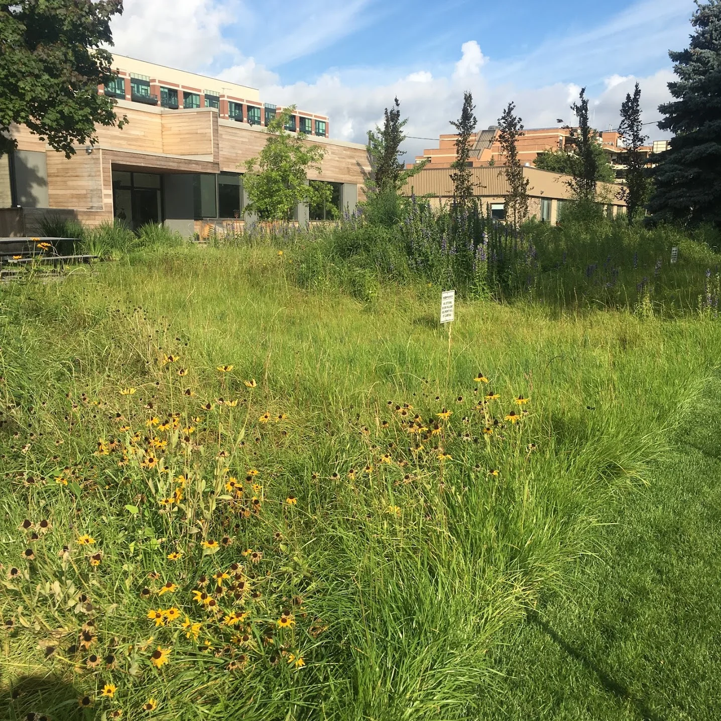  Four months of growth 