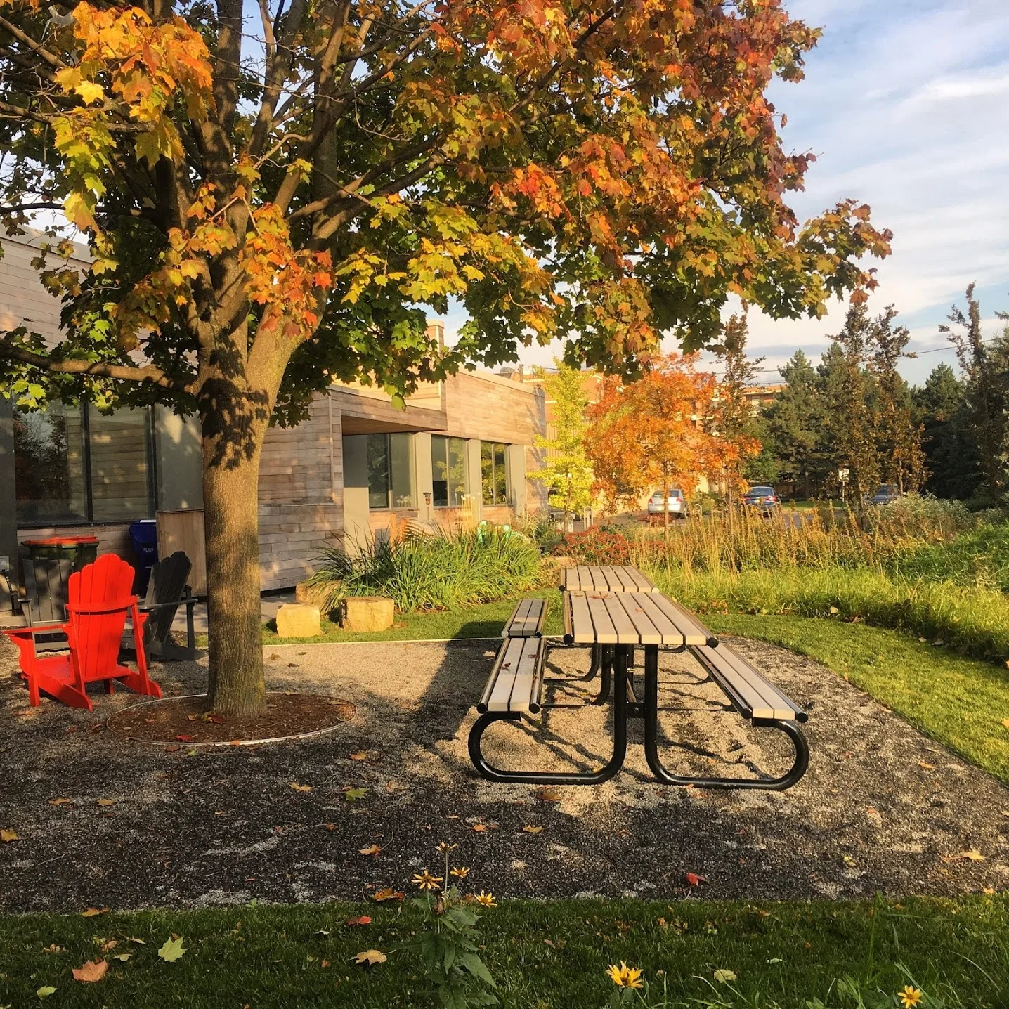  Six months after planting. What a wonderful first season. 