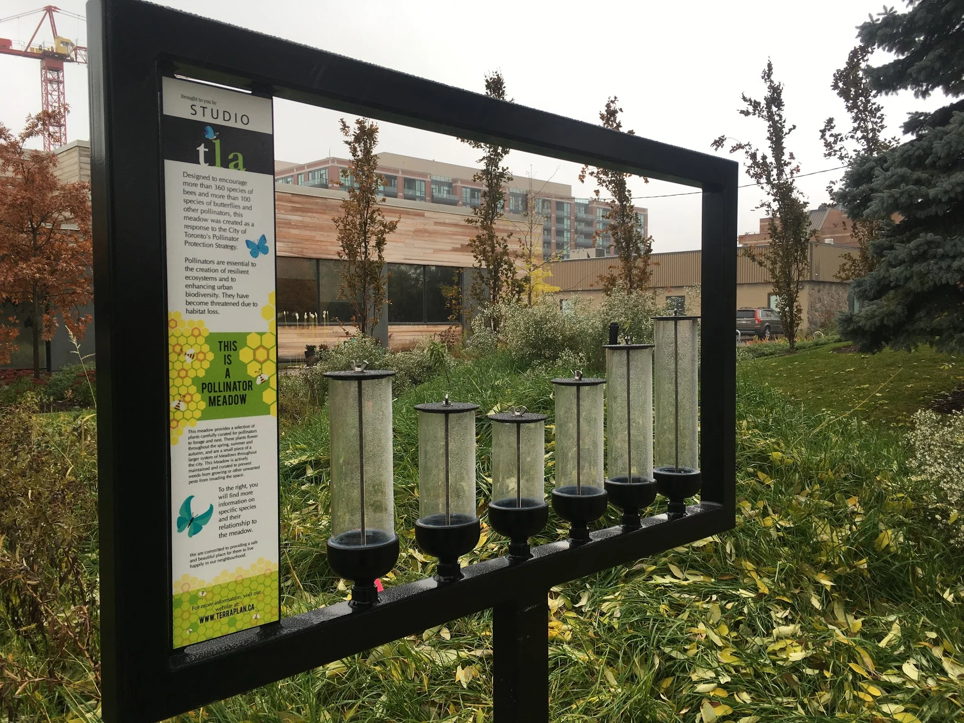  Sign installation. Design by others. Vinyl graphic by Tamara Urben-Imbeault 