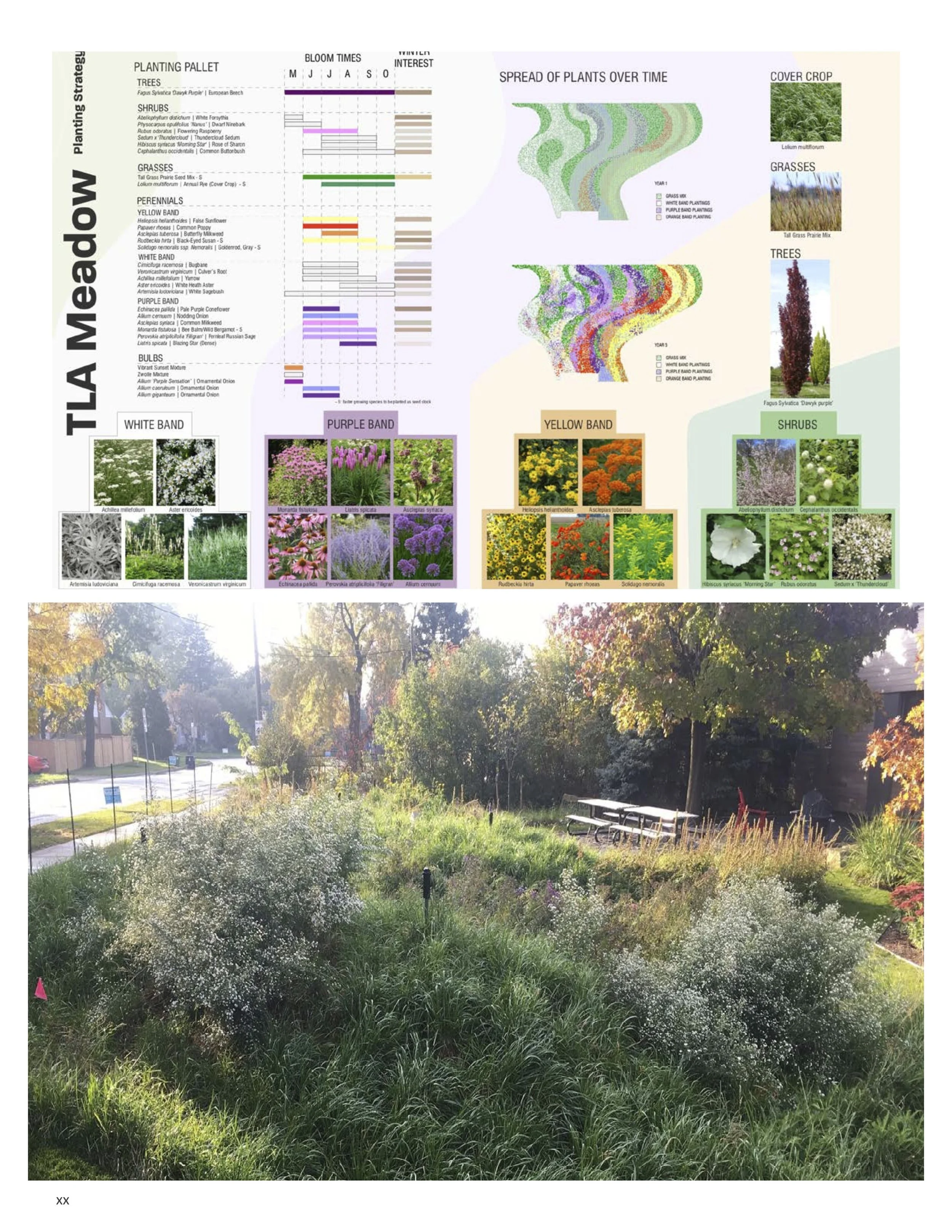 Tamara Urben-Imbeault Resume Apr 23 17.jpg