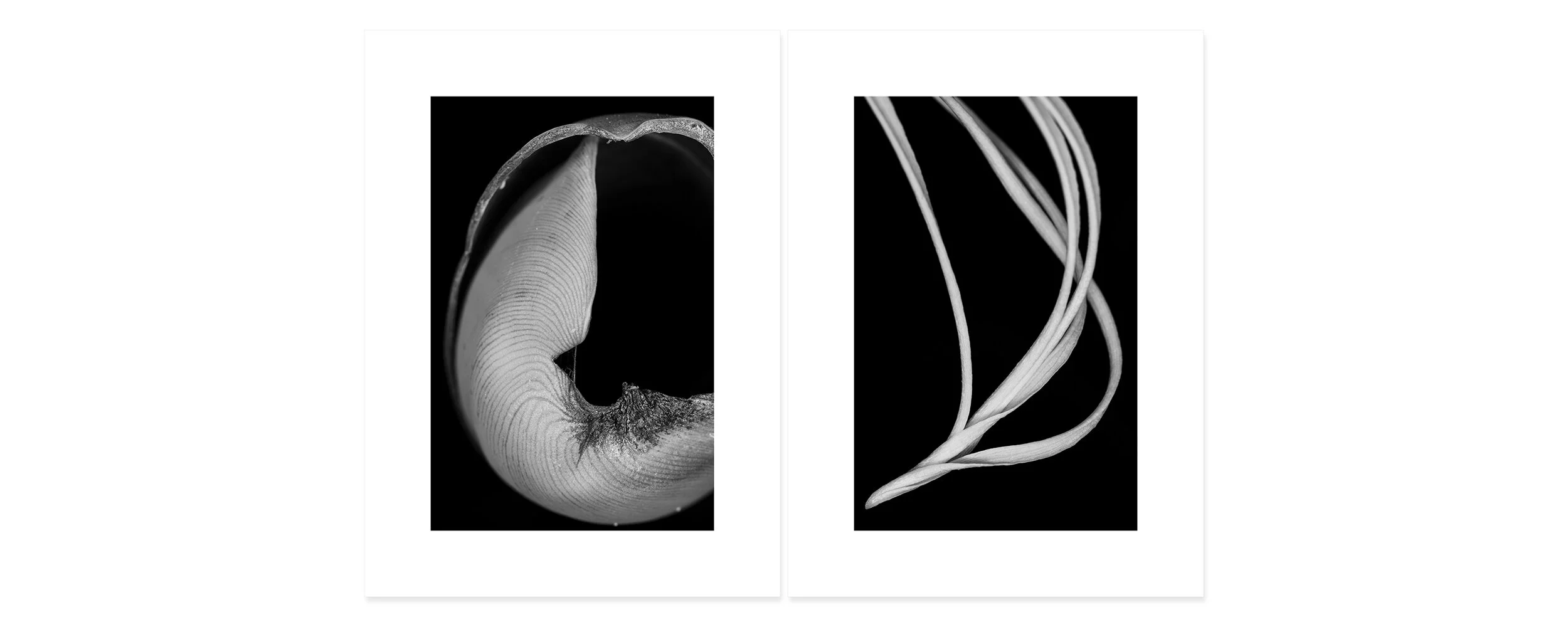 Space and time Archival pigment print, two panels 30 × 44 inch (76,2 x 111,76 cm) Unique All individual prints are 30 x 22 inch (76 x 55,88 cm), archival Epson ultra chrome k3 inks, 100 plus years permanence on Hahnemühle photo rag 500 gsm