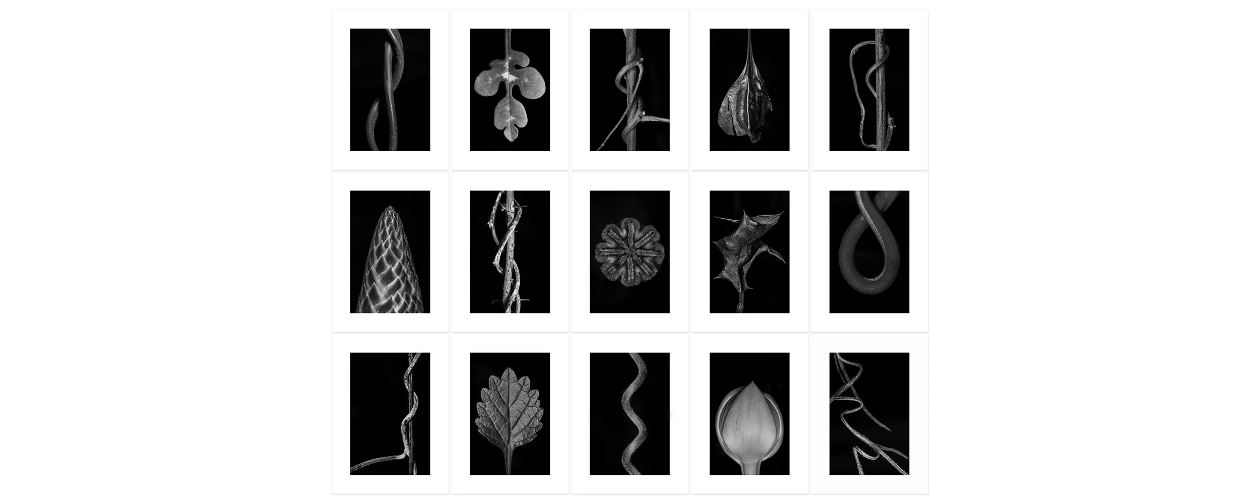 Dreams Archival pigment print, fifteen panels 90 × 110 inch (228,6 x 279,4 cm) Unique All individual prints are 30 x 22 inch (76 x 55,88 cm), archival Epson ultra chrome k3 inks, 100 plus years permanence on Hahnemühle photo rag 500 gsm pap