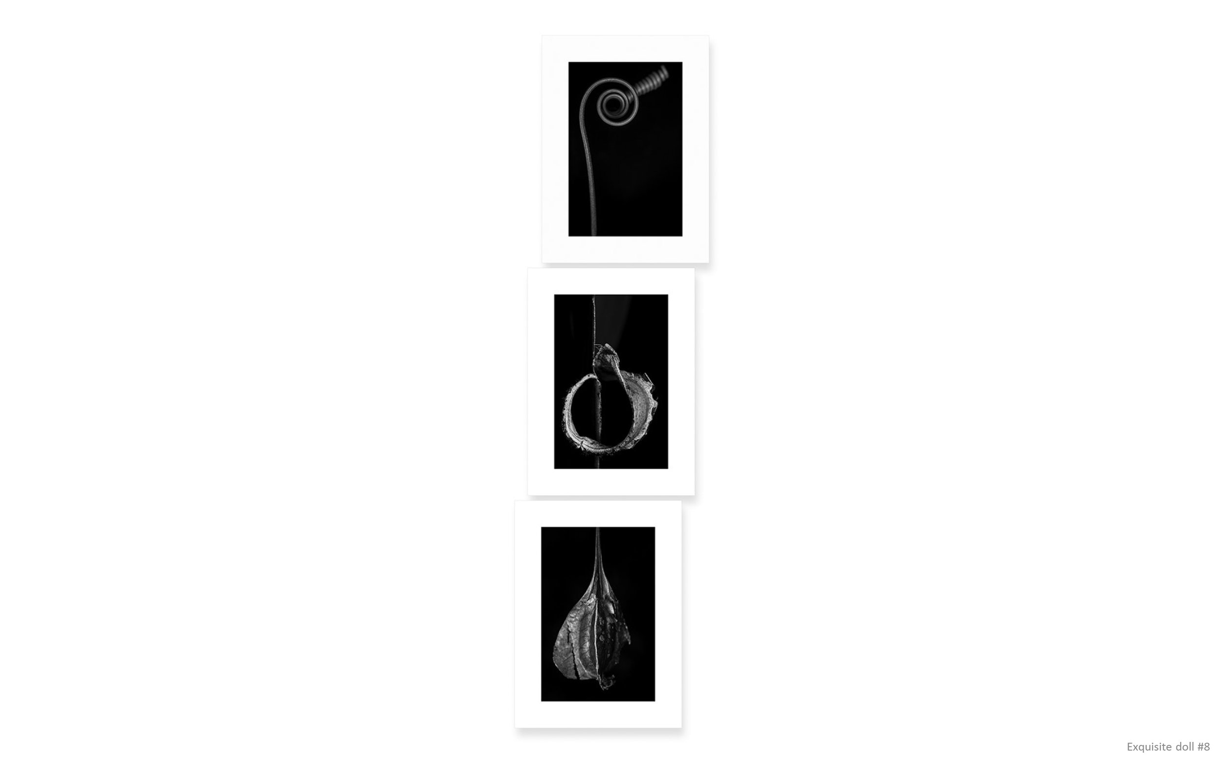 Presentationff-44 copy.jpg