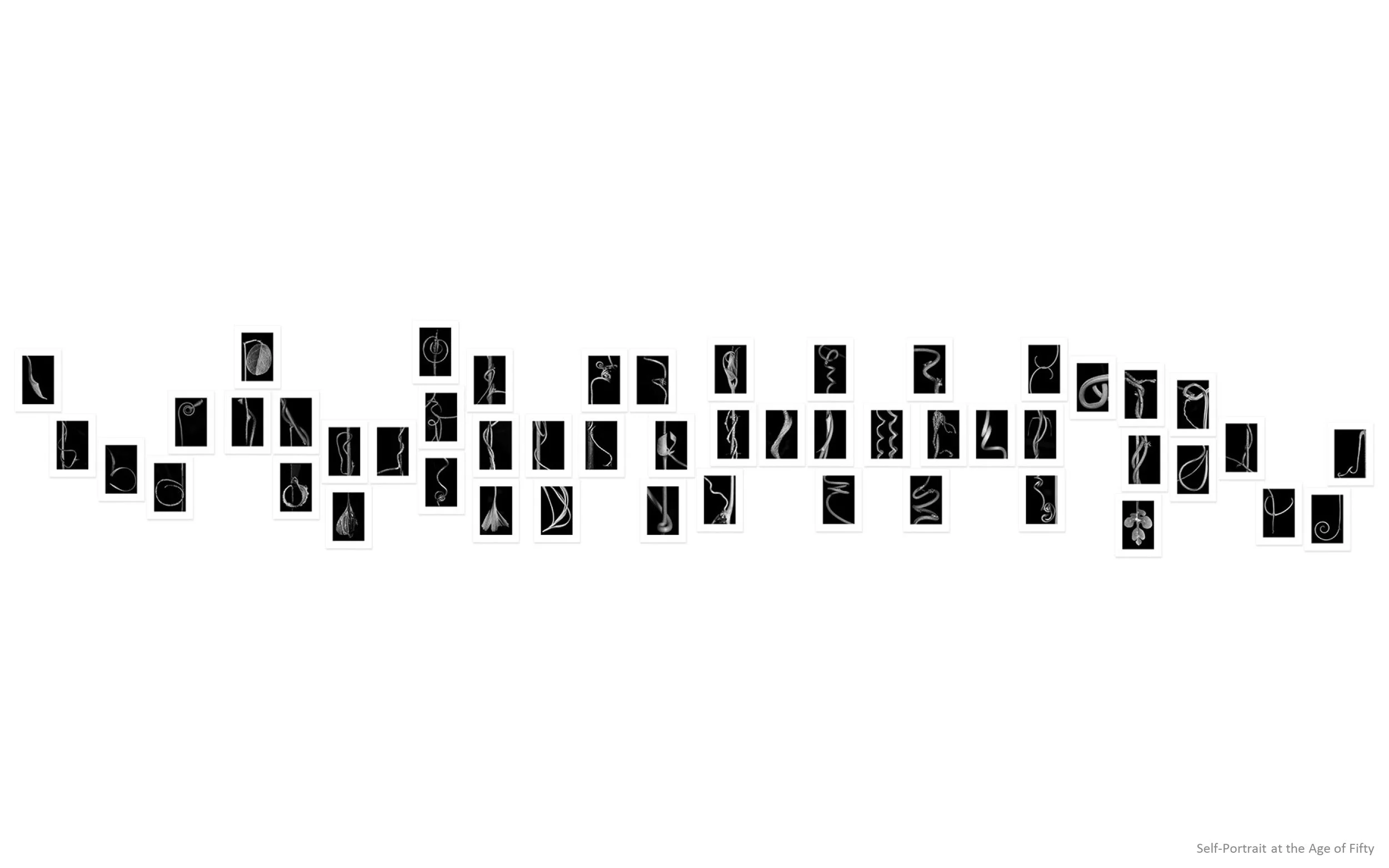 Presentationff-74 copy.jpg