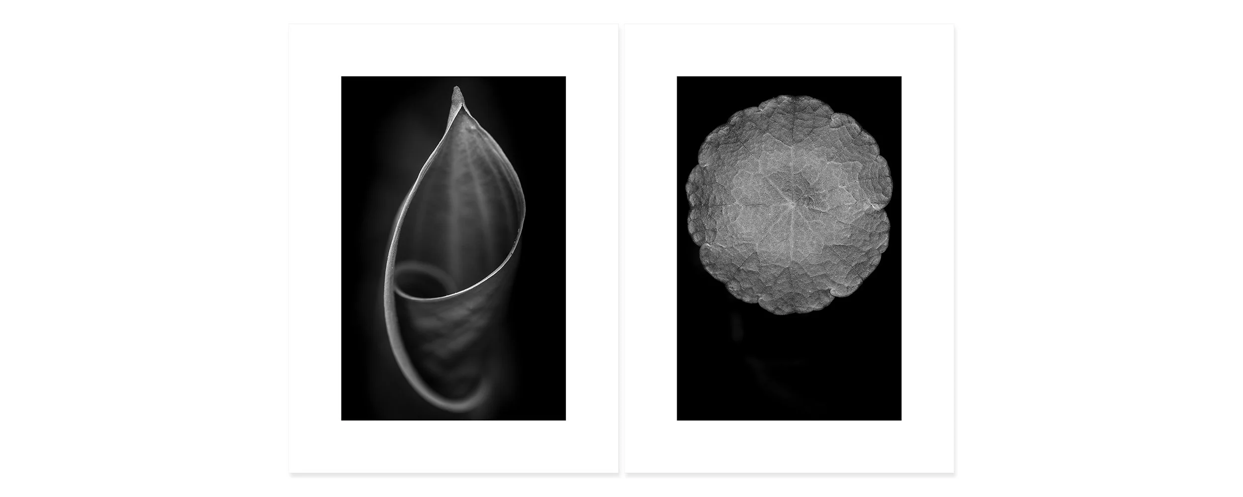 Madonna and Child Archival pigment print, two panels 30 × 44 inch (76,2 x 111,76 cm) Unique All individual prints are 30 x 22 inch (76 x 55,88 cm), archival Epson ultra chrome k3 inks, 100 plus years permanence on Hahnemühle photo rag 500 g