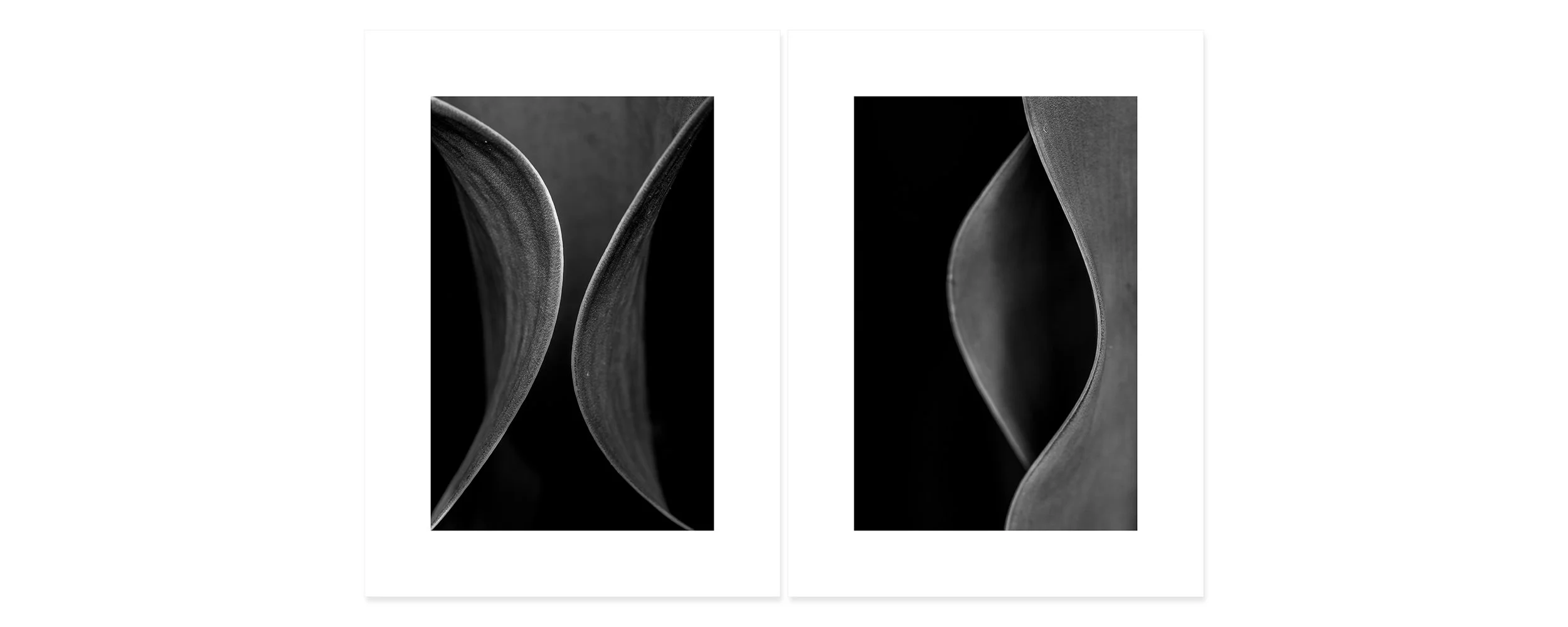 Matter and void Archival pigment print, two panels 30 × 44 inch (76,2 x 111,76 cm) Unique All individual prints are 30 x 22 inch (76 x 55,88 cm), archival Epson ultra chrome k3 inks, 100 plus years permanence on Hahnemühle photo rag 500 gsm