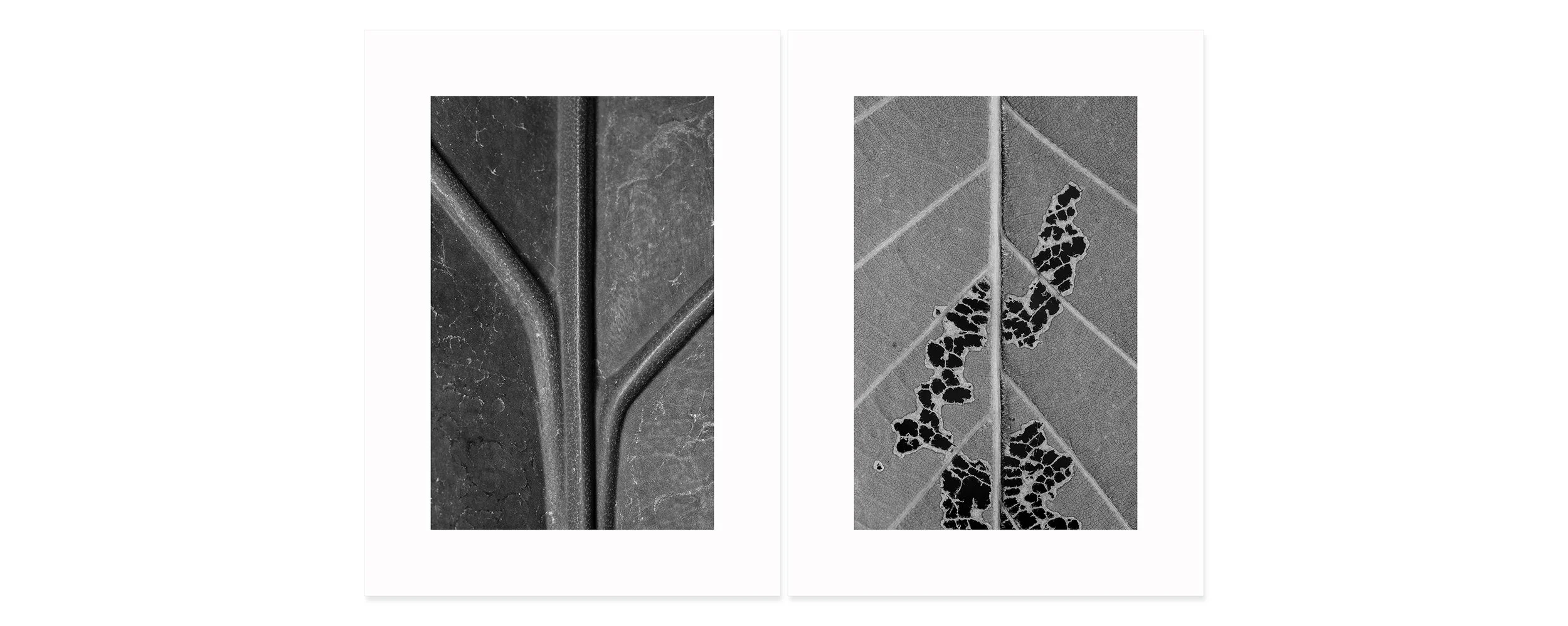 Change Archival pigment print, two panels 30 × 44 inch (76,2 x 111,76 cm) Unique All individual prints are 30 x 22 inch (76 x 55,88 cm), archival Epson ultra chrome k3 inks, 100 plus years permanence on Hahnemühle photo rag 500 gsm paper.