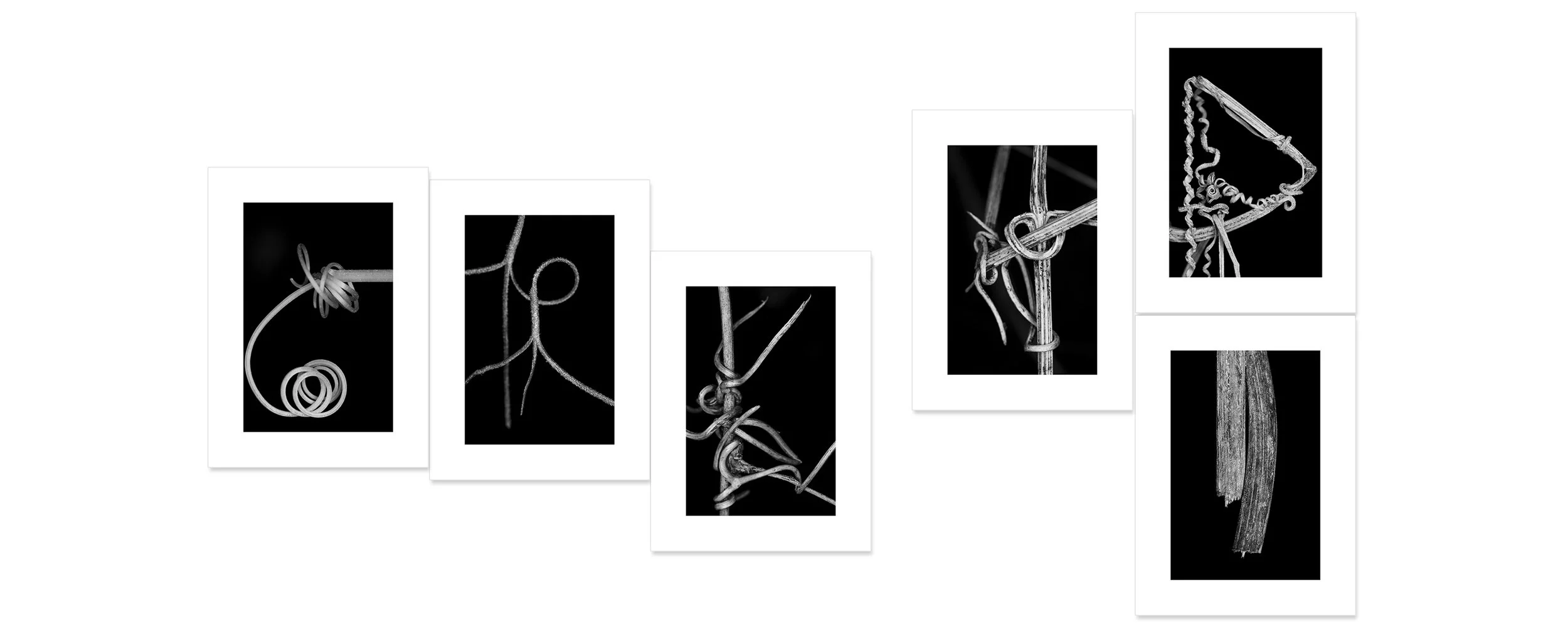 The Creation Archival pigment print, six panels 60 × 120 inch (152,4 x 304,8 cm) Unique All individual prints are 30 x 22 inch (76 x 55,88 cm), archival Epson ultra chrome k3 inks, 100 plus years permanence on Hahnemühle photo rag 500 gsm p