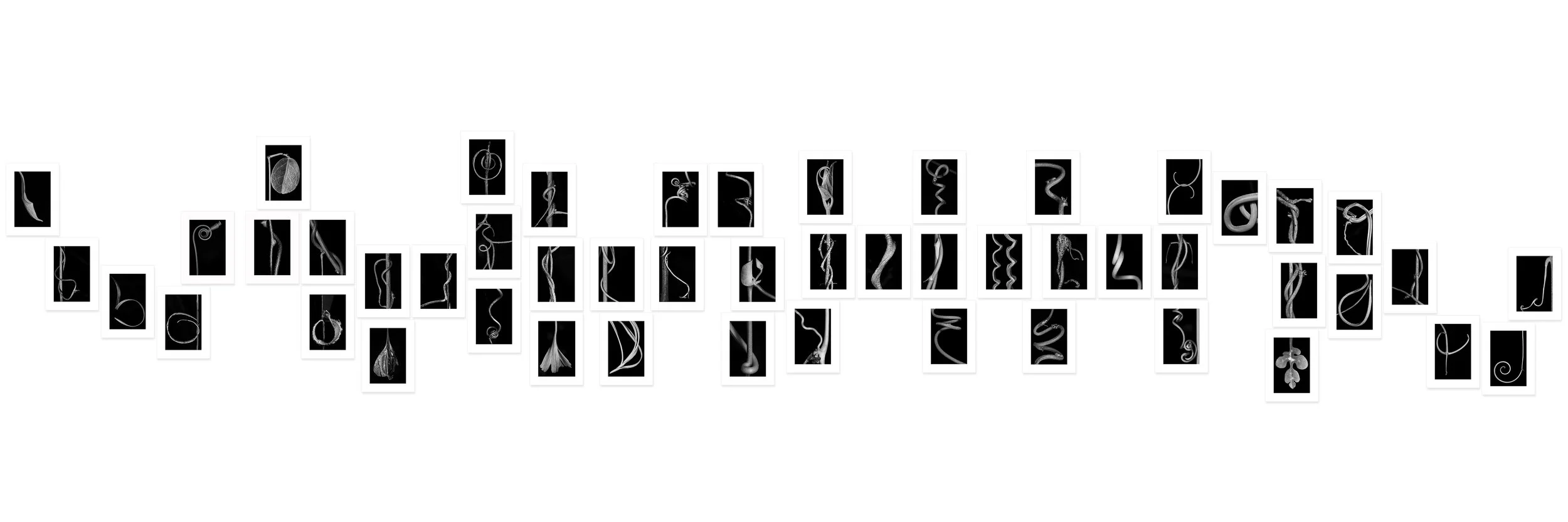 Self-Portrait at the Age of Fifty Archival pigment print, fifty panels 9'4" × 53'8" (284 x 1637 cm) Unique All individual prints are 30 x 22 inch (76 x 55,88 cm), archival Epson ultra chrome k3 inks, 100 plus years permanence on Hahnemühle