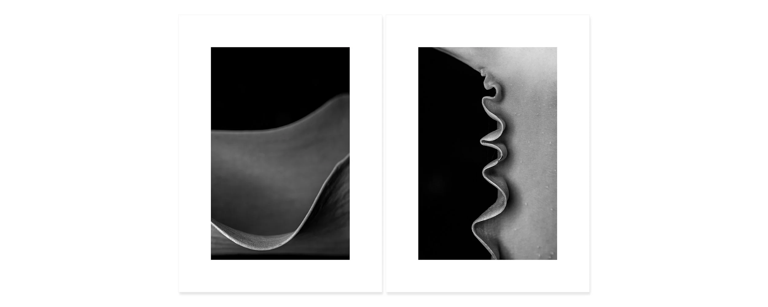 Tranquility Archival pigment print, two panels 30 × 44 inch (76,2 x 111,76 cm) Unique All individual prints are 30 x 22 inch (76 x 55,88 cm), archival Epson ultra chrome k3 inks, 100 plus years permanence on Hahnemühle photo rag 500 gsm pap