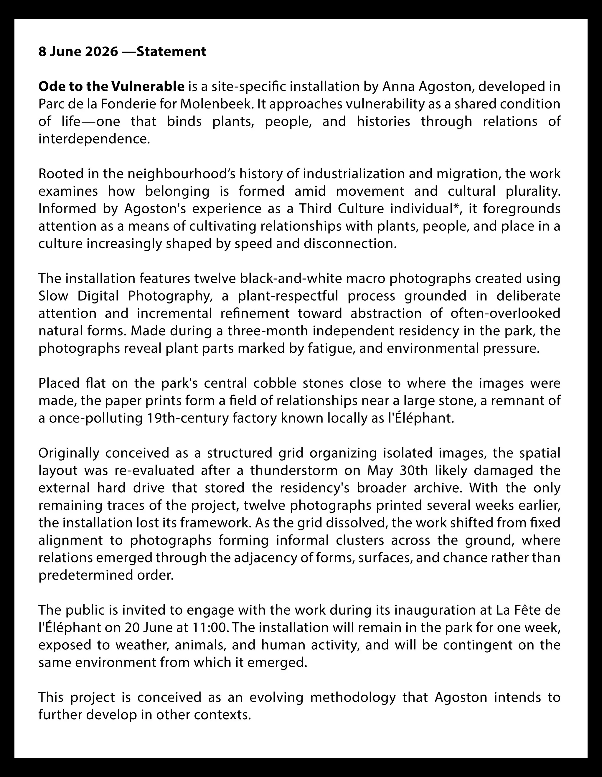website new statement.jpg