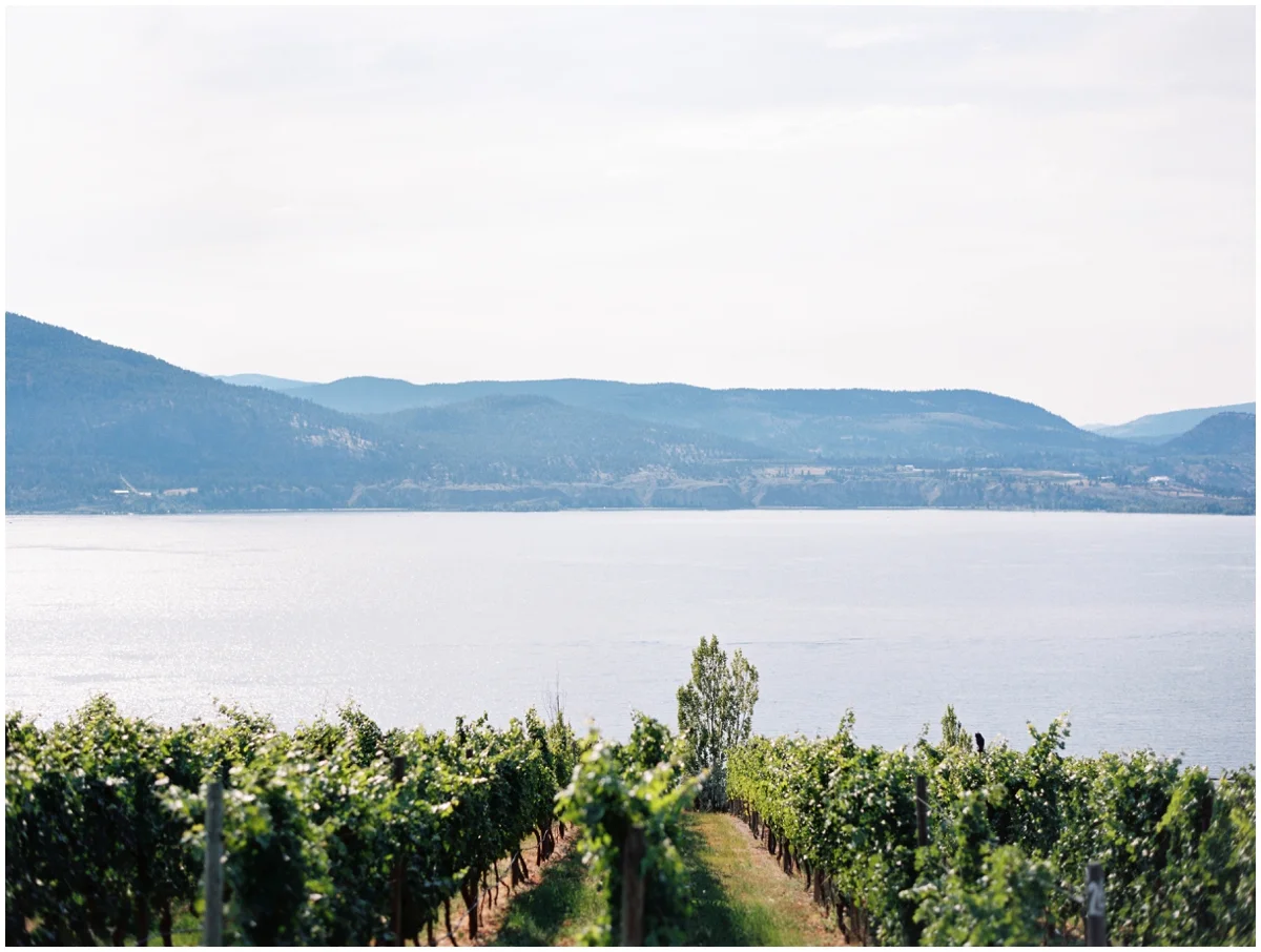 bench 1775 winery wedding naramata_0033.jpg
