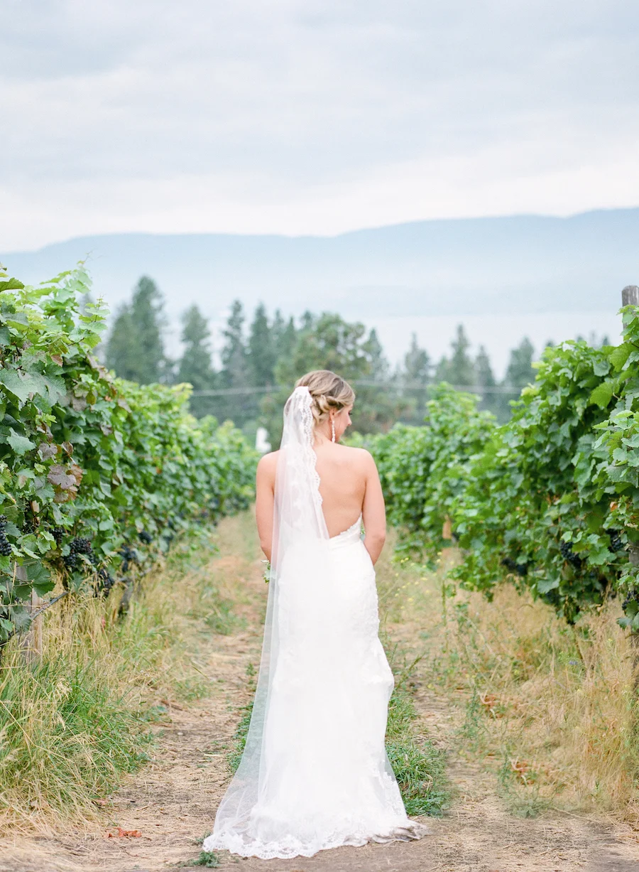 winery wedding bride.jpg