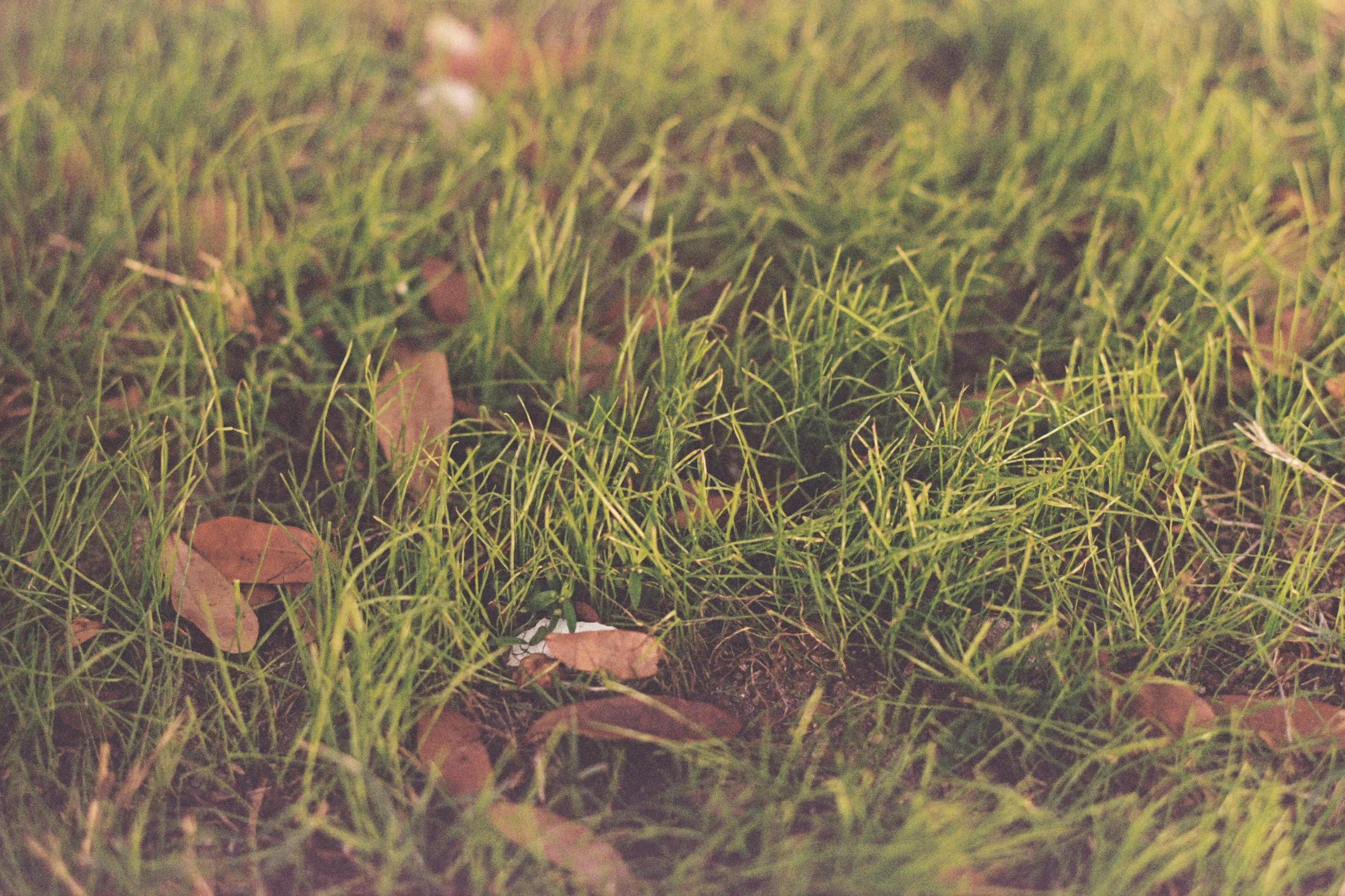 BG_01AA020A.jpeg