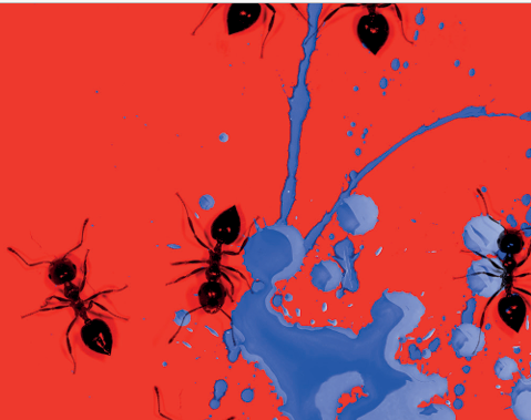 Jahresausstellung KSP 2024