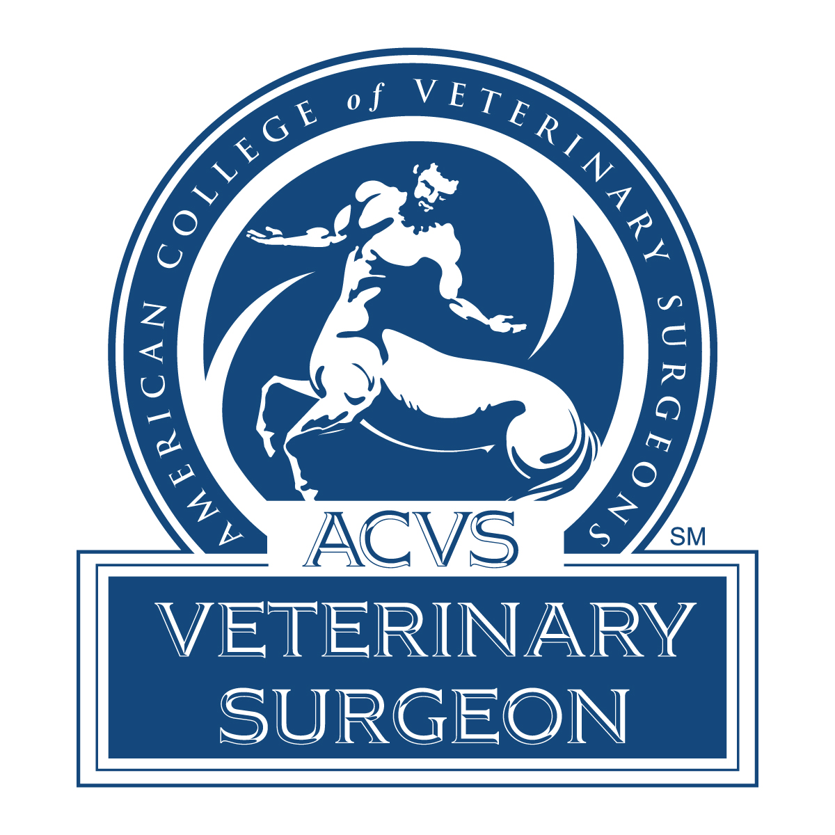 Orthopedic Veterinarian in Rancho Cucamonga