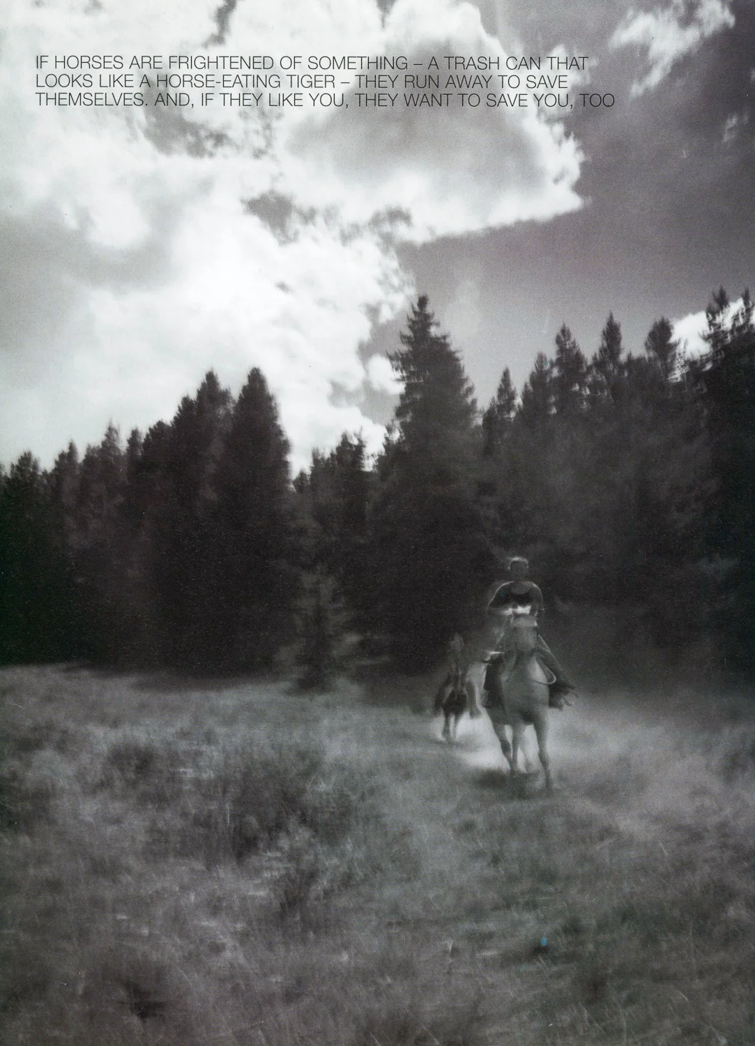 Elk River Valley, Colorado
