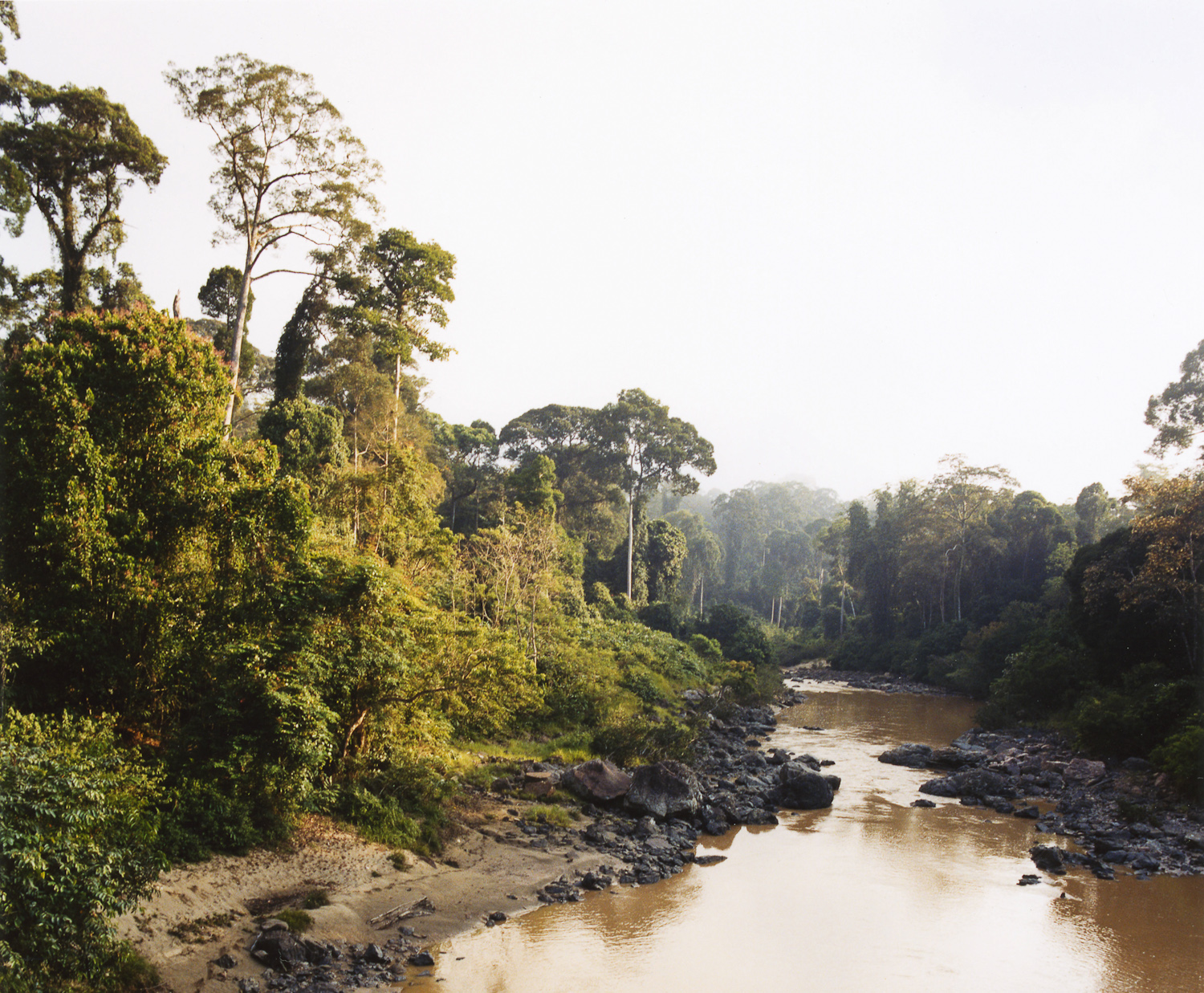 Danum River, Borneo