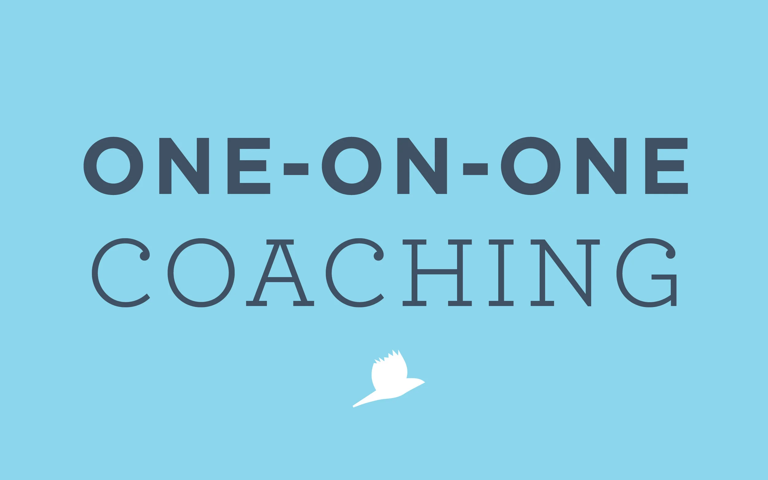 JS_Services-oneonone.jpg