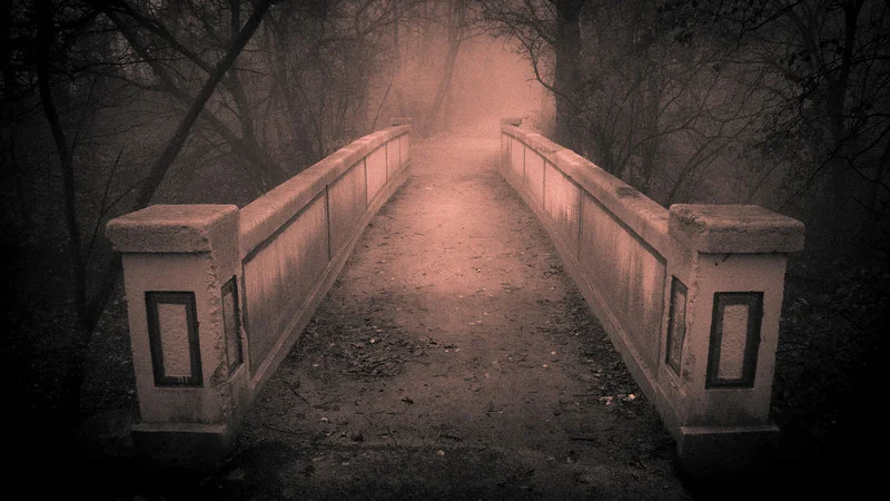 Bridge at Dellwood Park