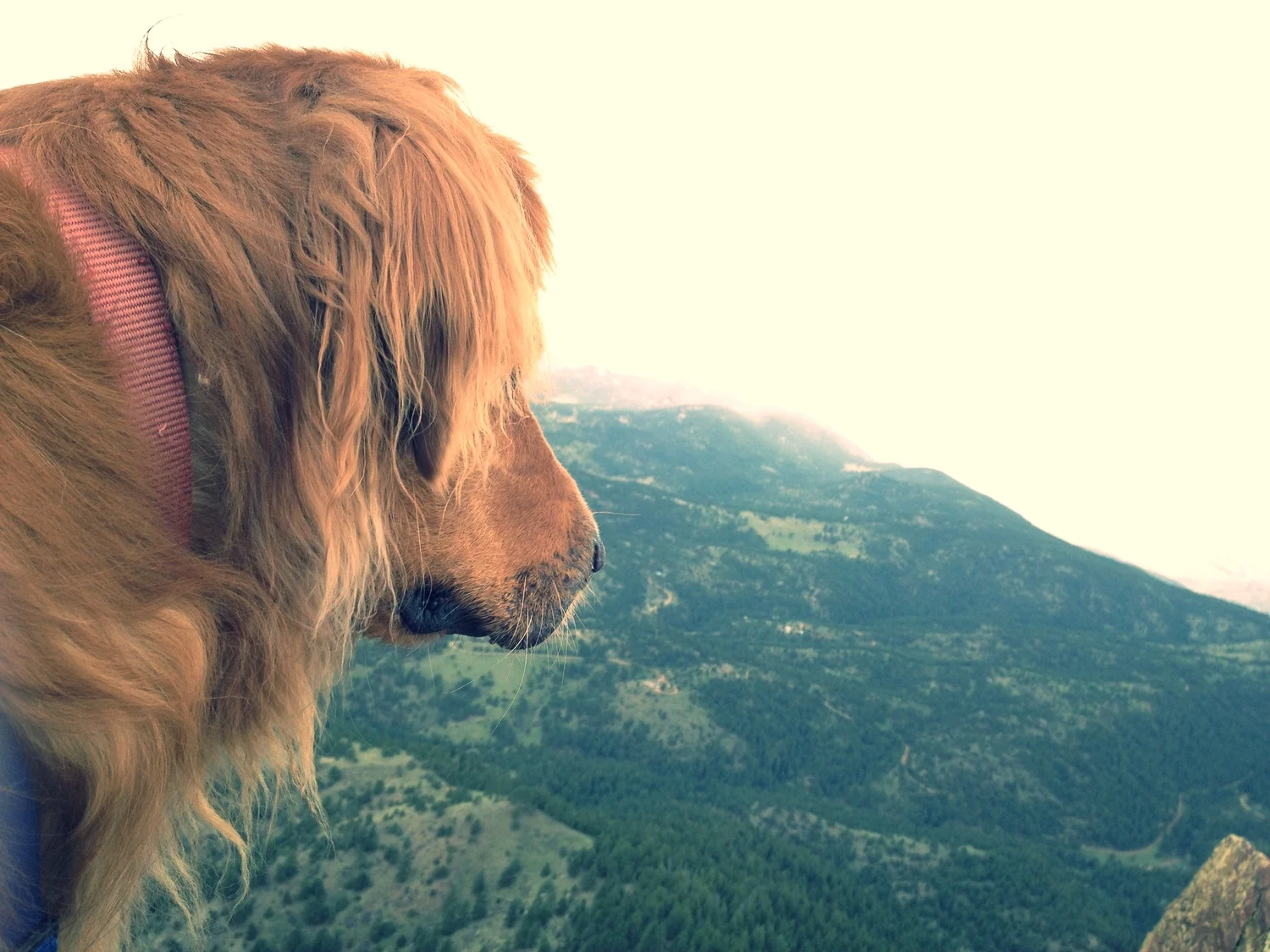 2014 in review, and a look to 2015