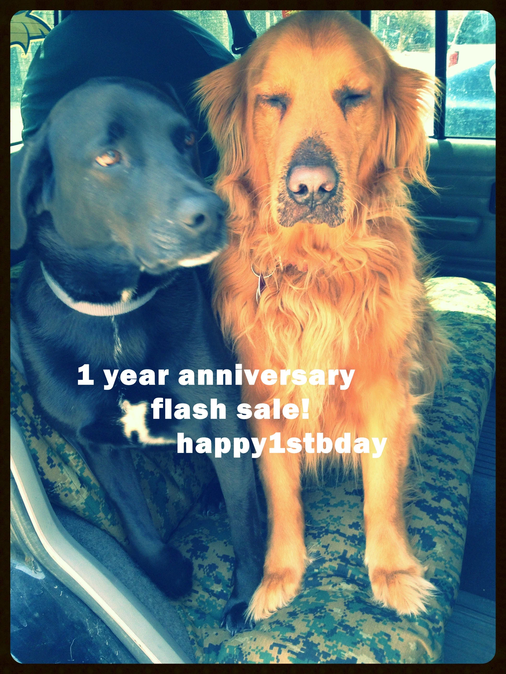 1 year anniversary: special celebration flash sale