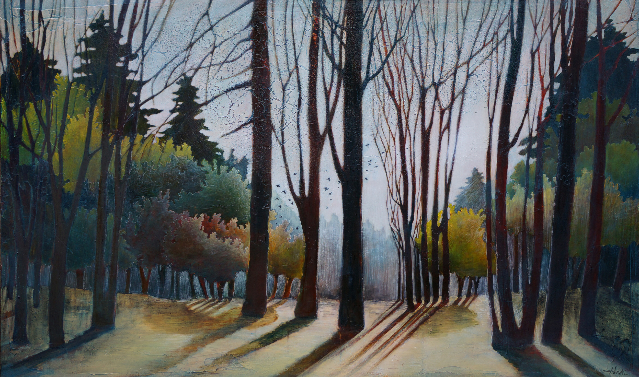 Forest Sanctuary