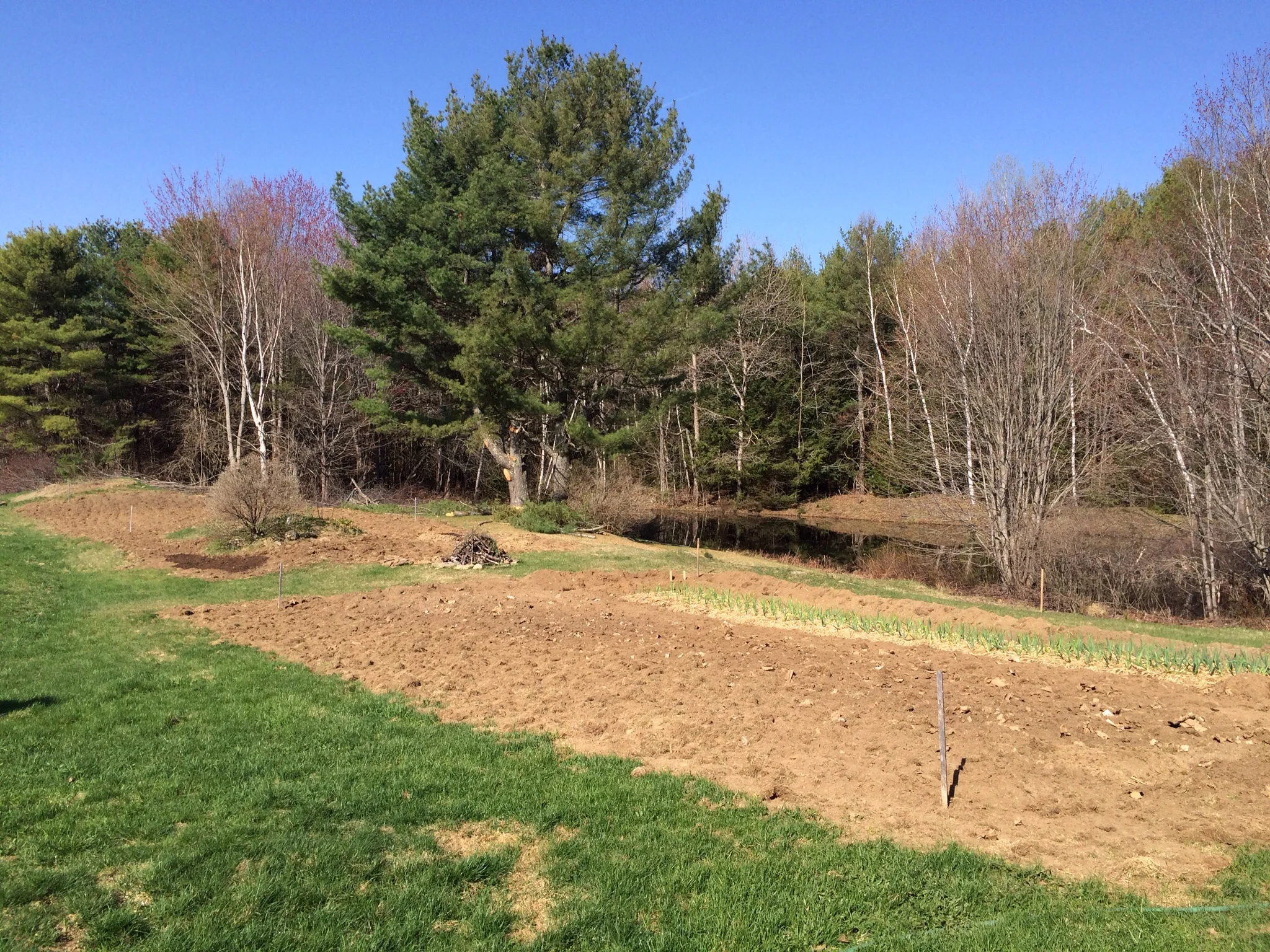 The same view, just a few weeks later. 