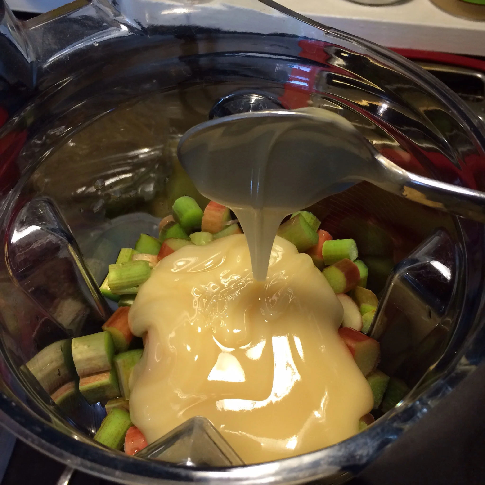 Making rhubarb sauce with 3 ingredients: rhubarb, local raw honey, and a little water in the Vitamix