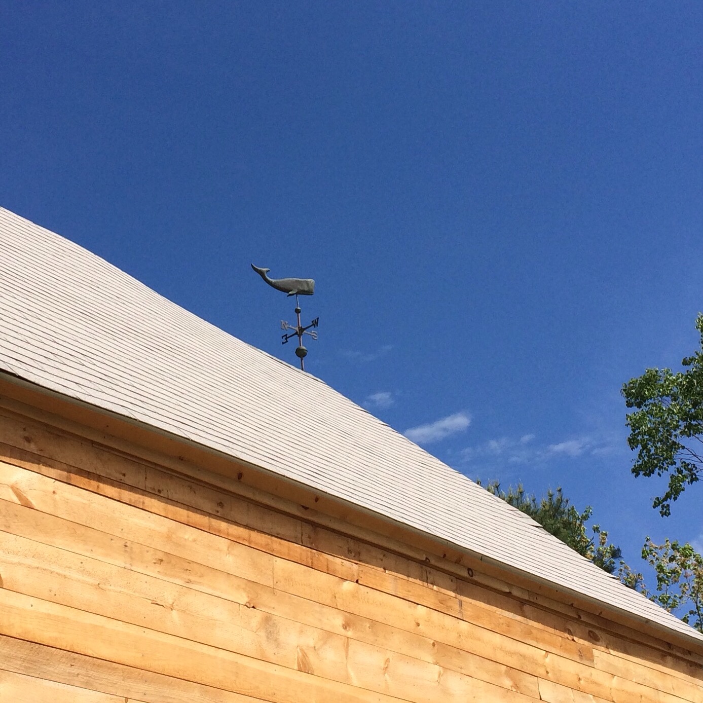 The whale weathervane on my parents' barn is my favorite of all time.
