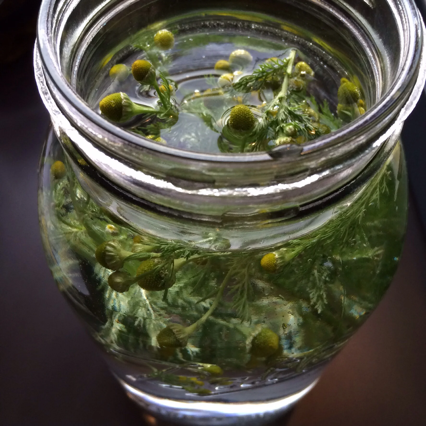 I just discovered how delicious pineapple weed is, makes a fantastic iced tea!