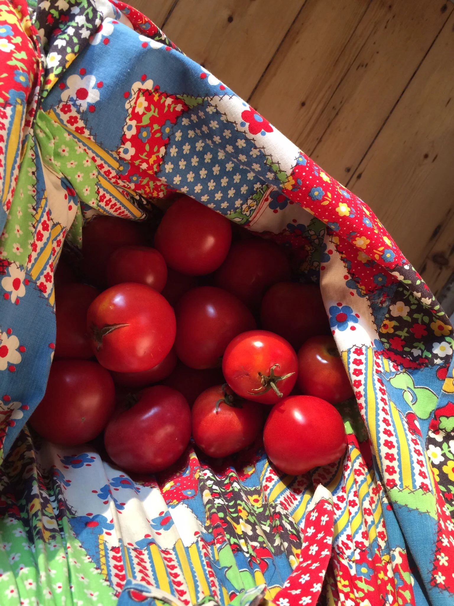 This apron belonged to my grandmother, Anne. It's floor length, holds a lot of tomatoes, and reminds me of her every time I wear it.