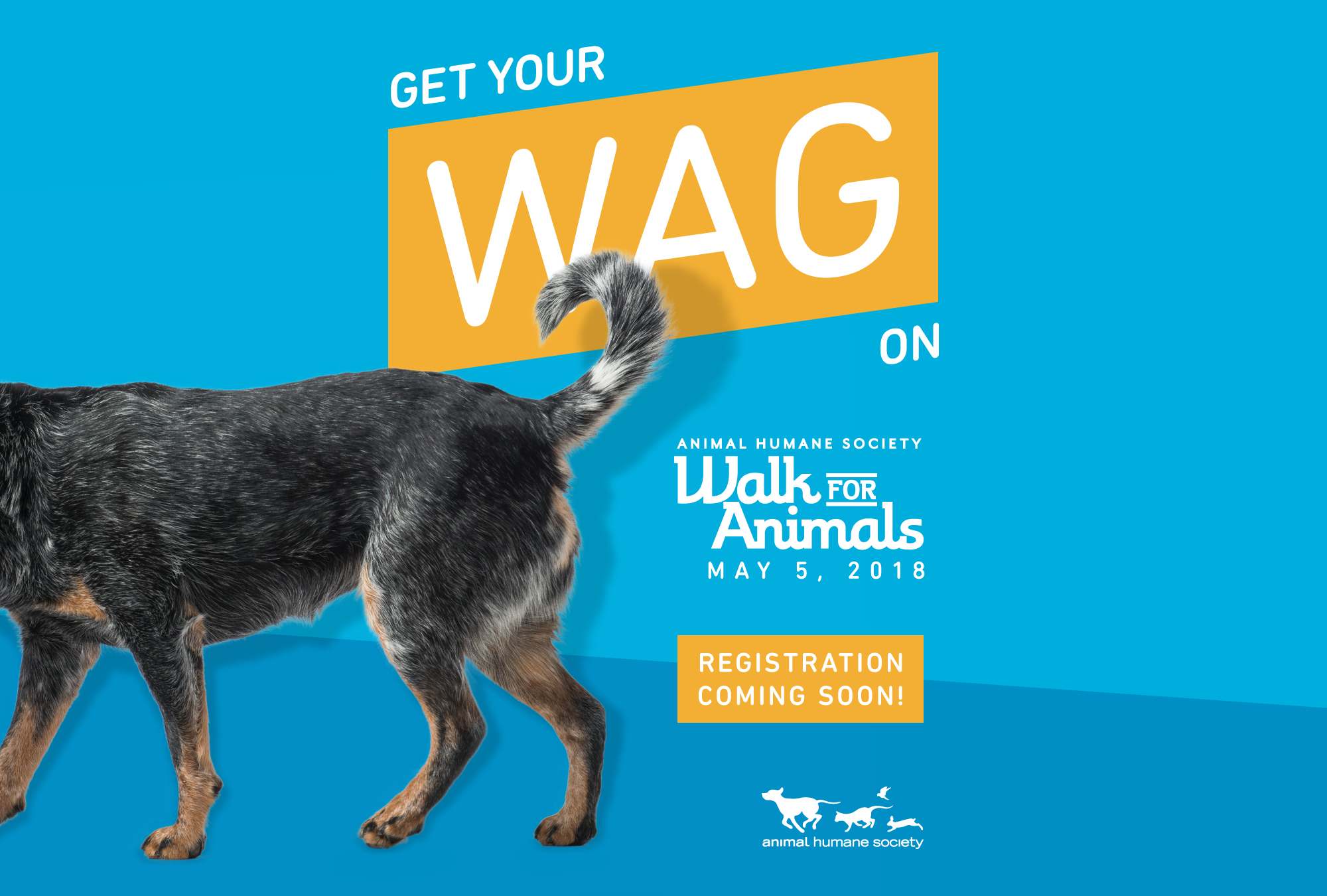 WALK FOR ANIMALS