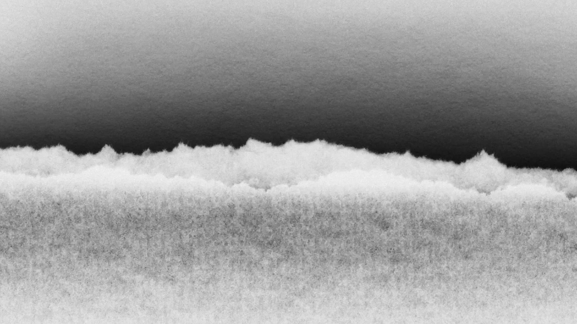 024_Open Cinema - WORK by C. Jacqueline Wood