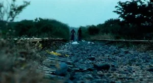 031_Latitude > Mexico