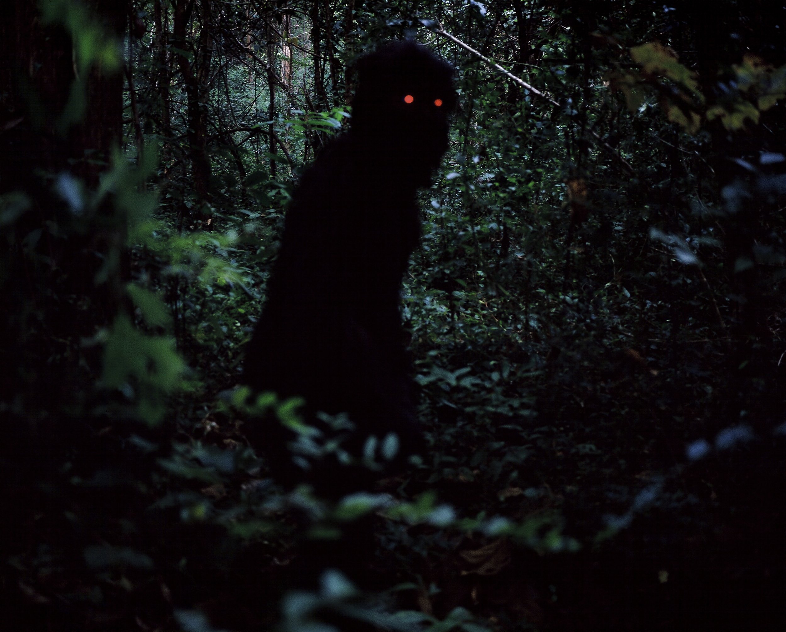 Не будет видно черной. Страшные существа в Ле. Страшное существо в темноте в лесу.
