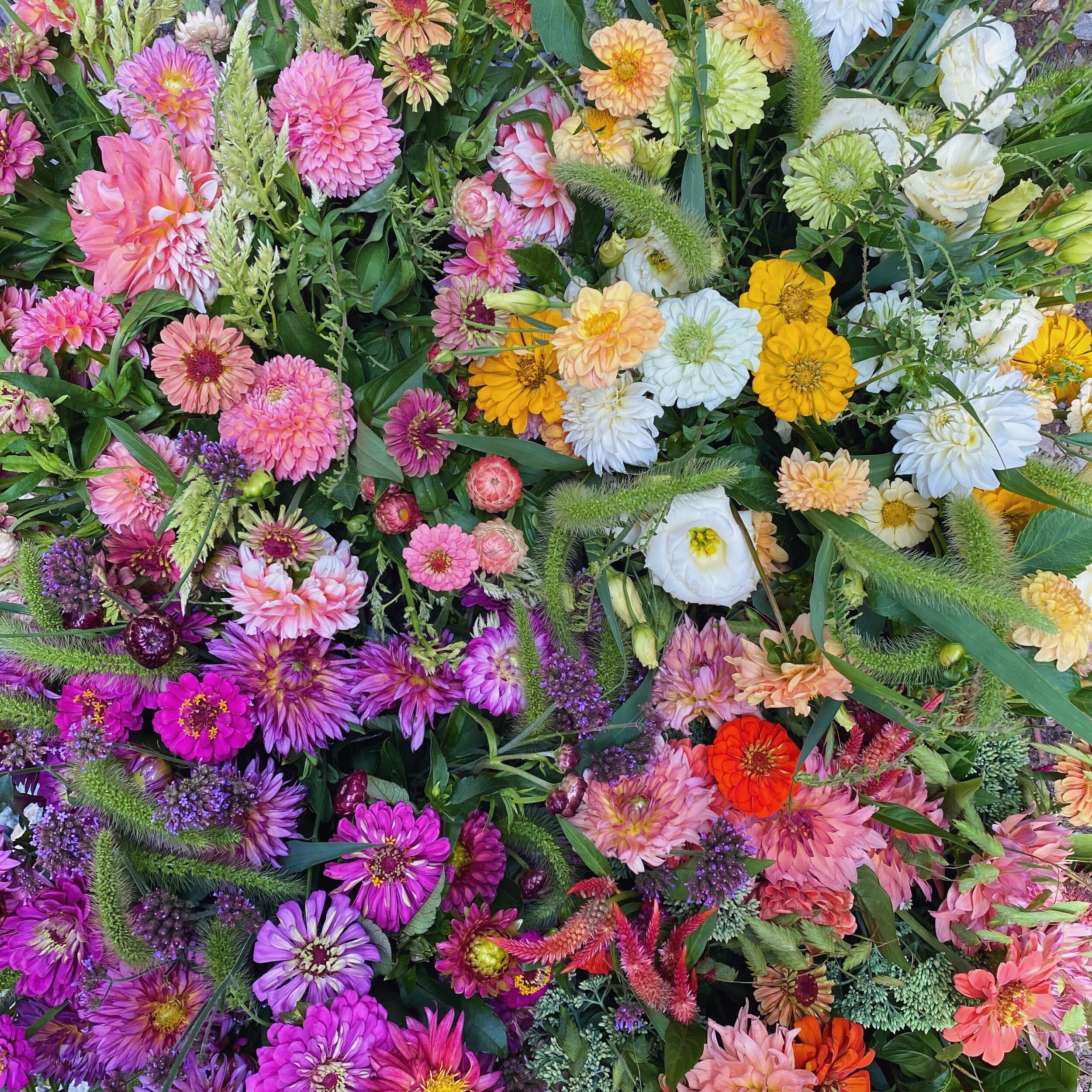 Flowers — Irvington Spring Farm