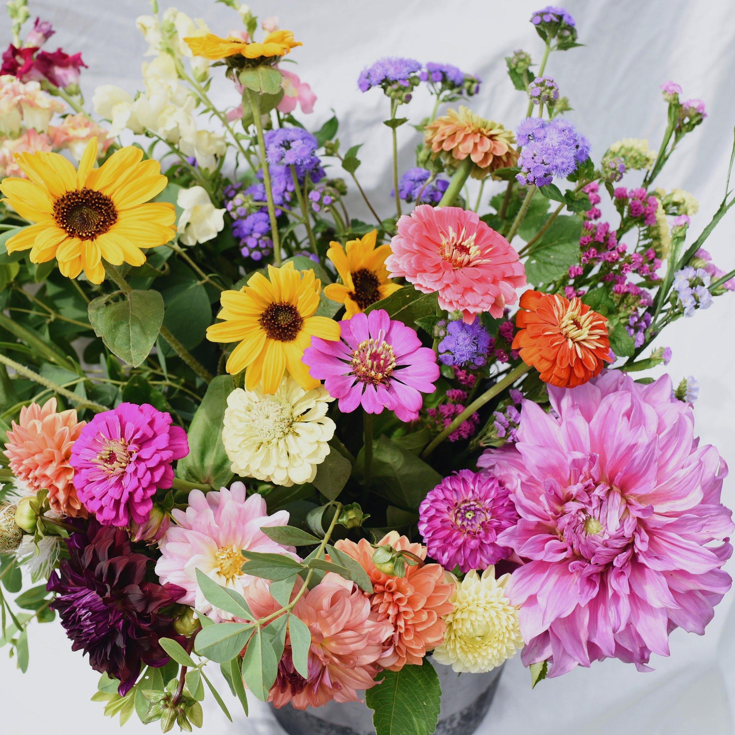DIY Flowers 'By the Bucket' — Irvington Spring Farm