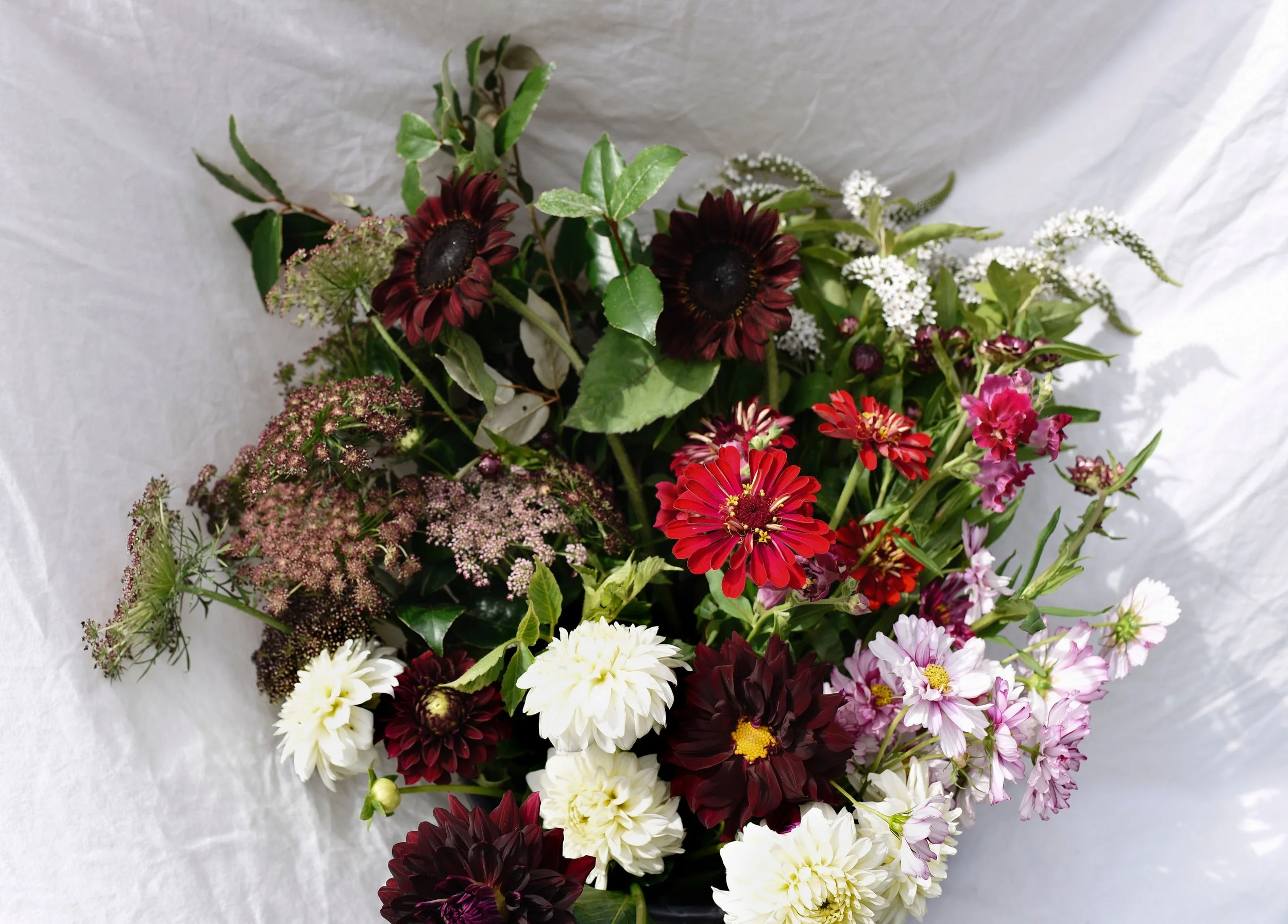 DIY Flowers 'By the Bucket' — Irvington Spring Farm