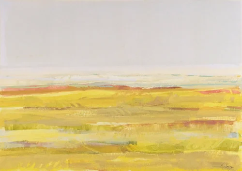 Campos de Castilla, 2011