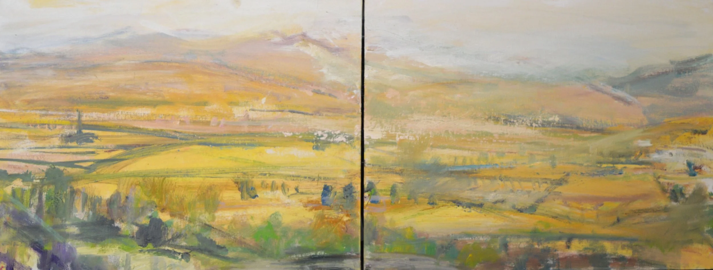 GS202502 and GS202503 Shown as a diptych