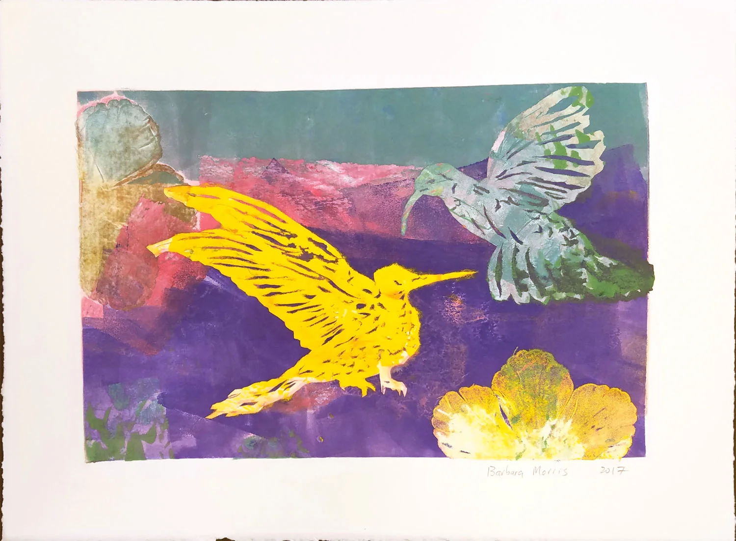 Hummingbird Series XX, monotype, 11" x 15" 2017